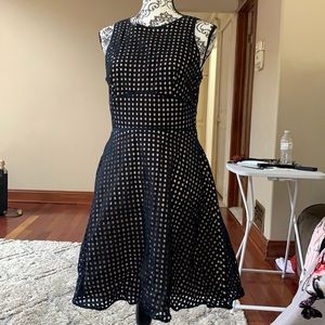 Ann Taylor loft size 6 dress fully lined dress NWT